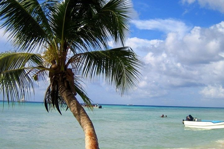 Saona Island by catamaran and speedboat - Photo 1 of 7